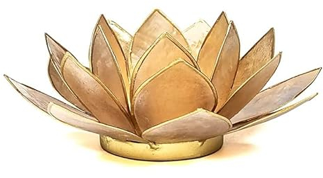 Capiz Lotus Licht beige/Smoked Goldfrand - 13.5 cm