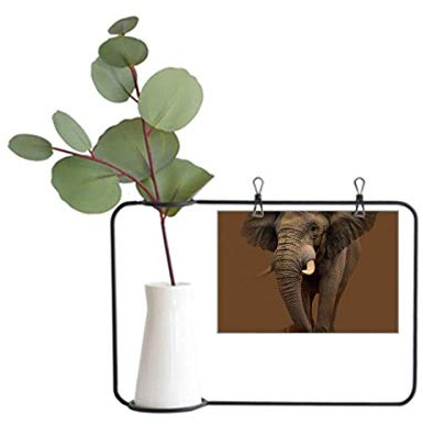 OFFbb-USA Elephant Teeth Independent Feet Metal Picture Frame Ceramic Vase Decor