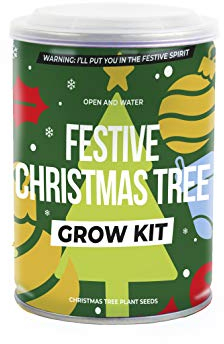 Weihnachtsbaum aus der Dose | Weihnachtsbaum | Grow Kit | Baum aus der Dose | Samen
