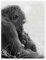 Mutterliebe mit Baby Gorilla Poster von Holger Bücker (BuPix) 13 x 18 cm Schwarz-Weiß Schwarz-Weiß Fotografie Wanddeko