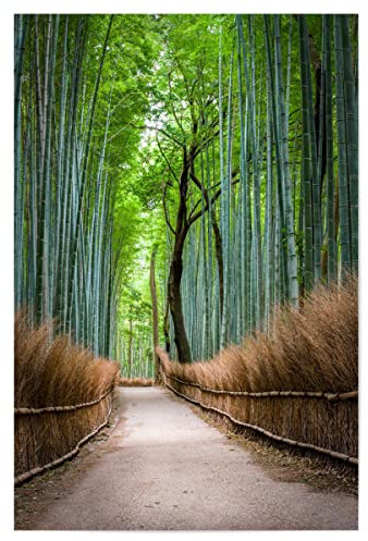 artboxONE Poster 45x30 cm Natur Natur Bambuswald in Arashiyama, Japan - Bild arashiyama Asien Bambus