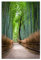 artboxONE Poster 45x30 cm Natur Natur Bambuswald in Arashiyama, Japan - Bild arashiyama Asien Bambus