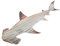 QUMIIRITY 1 Satz Hai-Anhänger 3D-Gartenzaun-Skulptur Figuren Wohnkultur Outdoor- ausstecher rentier zum einzug shark Wandverzierung Fotografie-Requisiten Rostfreier Stahl Khaki