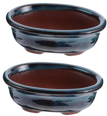 TOYANDONA Lot De 2 Pots à Bonsaï en Céramique Émaillée Mini Pots De Fleurs pour Plantes Succulentes D’intérieur Violet Argile Micro-Paysage Respirant pour Décoration Bureau