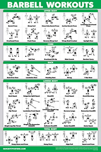 Palace Learning QUICKFIT Übungsposter mit Langhantel, laminiert, 45,7 x 61 cm, für Kinderzimmer