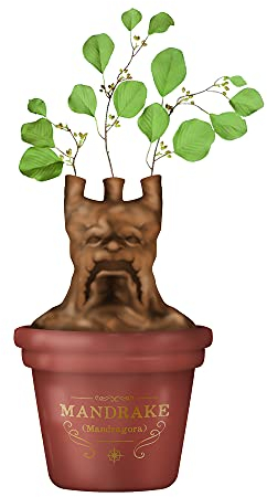 Half Moon Bay: Centrotavola Harry Potter Mandragola | Vaso Porta Fiori personalizzato Harry Potter, Licenza Ufficiale 100%, ideale come decorazione casa, centrotavola moderna o Harry Potter Gadget