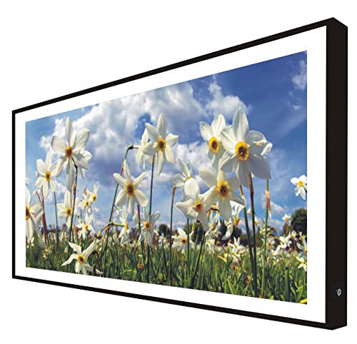 Ccretroiluminados Bild mit Holzrahmen, schwarz lackiert, mit LED-Licht, Blumen, Tulpenfeld