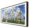 Ccretroiluminados Bild mit Holzrahmen, schwarz lackiert, mit LED-Licht, Blumen, Tulpenfeld