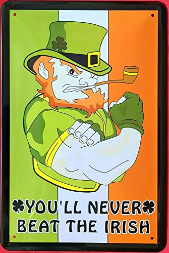 DekoDrom® Blechschild 20x30 cm Lucky Leprechaun Irish Pub Irischer Kobold Wand Deko Bar Kneipe Sammler Geschenk