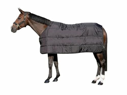Back on Track Stalldecke Millie Neuheit (165) für Pferd, Schwarz, Polyester, 200g Füllung, Winter, Wasserabweisend, Klettverschluss, Größe 165