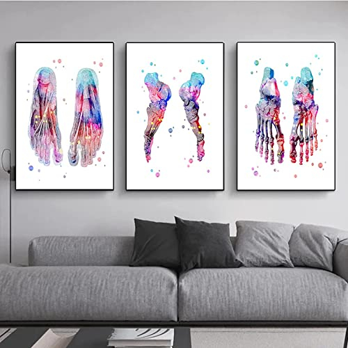 HTWLMM Fuß-Set Skelett Leinwand Malerei Fußknochen Anatomie Medizin Kunstdruck Bilder für Kliniken Krankenhäusern Wandbilder Deko Rahmenlos (3X50X70CM)