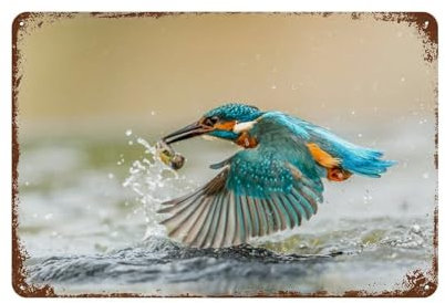 Eisvogel angelt an der Oberfläche,Blechschild Wanddekoration Lustiges inspirierendes Zitat Wandkunst Schild Vintage Blechschilder für Zuhause Kaffee Bar Man Cave Schild Pub Poster- L4