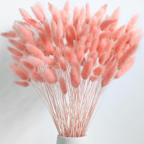 Naunauya 120 PCS Pampas White - Trockenblumen – Pampasgras, Strohblumen - Klein Dekoration in Rosa, Beige und Herbsttöne – Perfekt für Hochzeiten & Hausdekoration