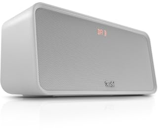 Teufel BOOMSTER 4, Altoparlante Bluetooth Portatile Stereo 2.1 con Radio DAB+ e FM-RDS, con Impermeabilità IPX5 e USB-C, Moon Gray