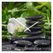levandeo Wanduhr Alu-Dibond 30x30cm Uhr Alubild Bambus FengShui Wellness Deko Aluminium Yoga Orchidee
