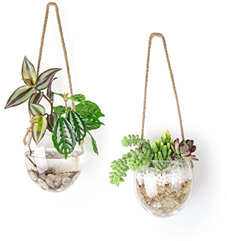 Fioriera sospesa in vetro per piante idroponiche, piante grasse, muschio, tillandsia, piante aeree, decorazione per la casa, ufficio, giardino, set da 2