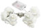 Ideen mit Herz LED-Lichterkette | Rosen | 20 LED-Lichter | warmweiß | batteriebetrieben | romantische Zimmer-Deko (weiß)