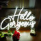 Hello Gorgeous Neon LED Nachtlicht für Wand Zuhause Party Wandleuchte Schilder Hochzeit Valentinstag Schlafzimmer Geburtstag Bar Club leuchtende Buchstaben Neonschild mit dimmbarem Schalter (weiß)