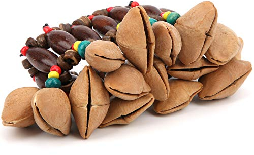Chamans Africains Coquilles de Noix Instrument de Musique Coquille de Noix Bracelet Africain Coquille de Noix Clochette Percussion Instruments de Musique