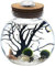 LED-Aquarium Marimo Kit, kreatives LED-Nachtlicht, Mikrolandschaft, Öko-Flasche, Glas, Terrarium, Kugelglas, mit lebenden Moosbällen, Kieselsteinen, Muscheln, schwarzer Fächerkoralle, Gesche