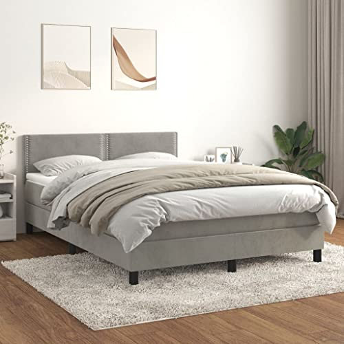 Willood Boxspringbett mit Matratze Hellgrau 140x200 cm SamtFlach mit Nägeln