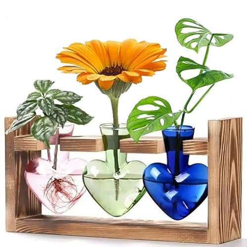 AXIM estaciones de procesamiento de plantas, artesanías creativas de vidrio con soportes de madera maciza retro, kit de terrario para plantas, decoración de jardín en forma de corazón para amantes de