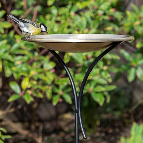 Crocus Collection 129cm Bird Bath Round Bowl on Freestanding Decorative Pole Stake Brushed Brass