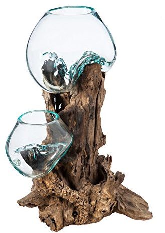 Cape Craftsmen 12 Hand-Blown Blue Tinted Bubble Glass On Natural Teak Driftwood Terrarium Kit | Home Décor Indoor Planter with Stand | Pot for Succulent and Plants
