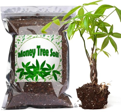 Organic Money Tree Soil Mix 2L, Indoor Plants Potting Mix for All Potted Money Tree, Grow Healthy houseplants Indoors