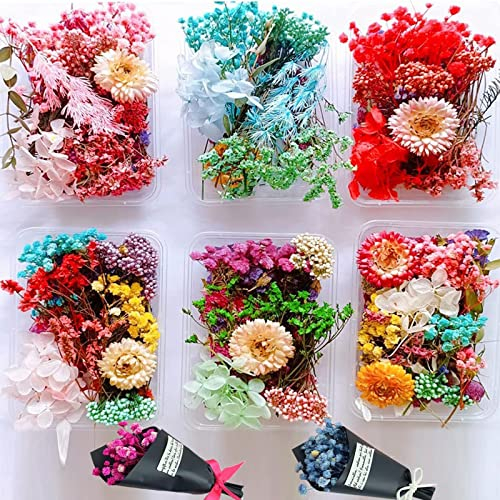Counius 4 Box natürliche getrocknete Blumen,trockenblumen Set,2 Kleiner Strauß aus Schleierkraut,NatüRliche Getrocknete Blumen Gepresste Blumen für Kunstharz Anhänger Dekoration (zufälliger Stil)