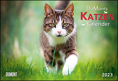 DUMONT Katzenkalender - Kalender 2023 - DuMont-Verlag - Broschürenkalender - Wandkalender mit Schulferienterminen - 42 cm x 29 cm (offen 42 cm x 58 cm)