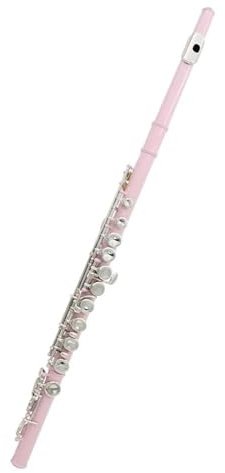 Querflöte Anfänger 16 Geschlossene Offene Loch-C-Tastenflöte Professionelle Querflöte Mit E-Taste Holzblasinstrument Anfänger-Lederbox(Pink)
