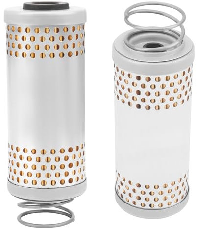 Road Passion 2*Filtri olio 2A000633 Compatibile con MOTO GUZZI V85 TT Travel Pack e4 ABS 2020 (APAC)/(EMEA)/(NAFTA) / V9 Bobber 850 E4 ABS 2020 (EMEA) / V9 Bobber 850 E4 ABS 2018 (EMEA)