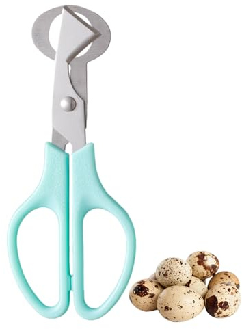 Wachtel Ei Schere – Wachtel Eier Schneider & Edelstahl Schälwerkzeug | Schalenöffner Für Heimküche | Spezielles Werkzeug Für Schneiden, Salatdeko & Gesunde Snacks