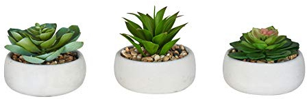 3er Set Sukkulenten 12cm Beton Deko Blume Kunstpflanze Kunstblume Tischdeko Grün Pflanze