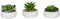 3er Set Sukkulenten 12cm Beton Deko Blume Kunstpflanze Kunstblume Tischdeko Grün Pflanze