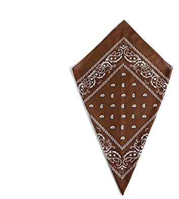 Brown Paisley Bandana Head Scarf Headbands Handkerchief Cowboy Cotton Bib Party Face Covering Headwear For Motorcycling Mens Womens Unisex