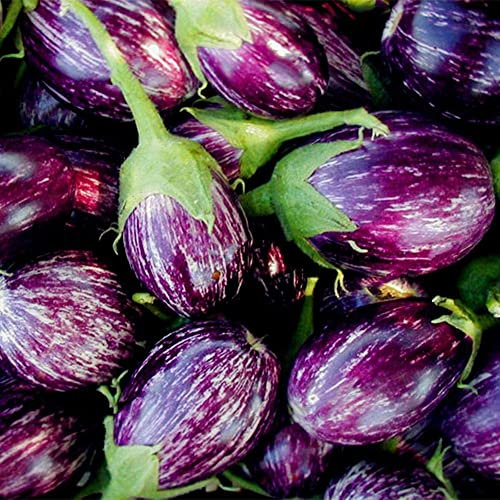 Haloppe 200 Pz Semi Di Ortaggi Di Melanzane Per La Piantagione Del Giardino Di Casa, Semi Di Melanzane Imperiali Orto Nutriente Piantare Nel Cortile Semi Di Melanzane