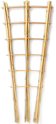 SWANGSA 5 Pack 3Ft Bamboo Trellis for Climbing Plants Support, Fan-Shaped Ladder Trellis for Outdoor and Indoor Potted Plants Cucumber Garden Stakes