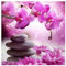 DIY Square Art Diamant Painting Kit Bilder Groß Orchidee Phalaenopsis 40x40cm 5D Strass Diamond Painting Eckige Steine Blumen Bilder Full Stickerei Kreuzstich Leinwand Puzzle Diamanten Painting
