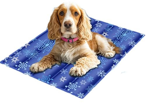 CEASELESLY Kühlmatte für Hunde und Katzen,Haustier-Kühlmatte,für Hunde Katze Haustier Eismatte Selbstkühlende,perfekt für heiße Sommertage(45x60cm),für Drinnen, Draußen und Auto