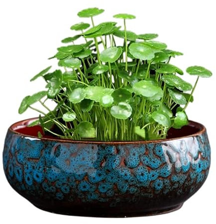 Lotus Pflanze Blumenschale, Vintage Ceramics Blumentöpfe für Lotusblume, Großkaliber Hydrokultur Bonsai Schale, Narzisse Topf Schale Seerose Sukkulente Haushalt einfaches Keramik-Becken (blau)