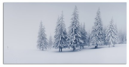 Leinwandbild 120x60 cm - Schöne Winterlandschaft mit Schnee bedeckten Tannen! Weiße Schneelandschaft mit Bäumen! Bild auf Keilrahmen modern stilvoll - Bilder und Dekoration