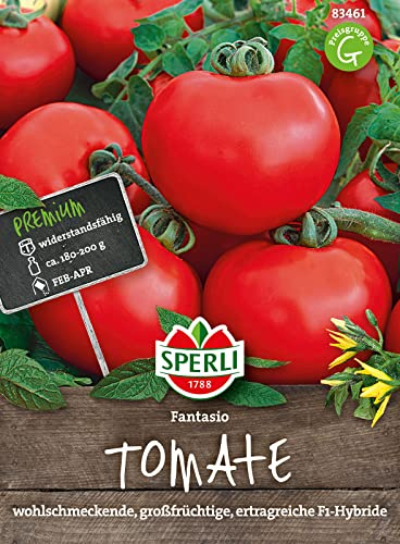 Sperli Salat-Tomatensamen Fantasio, F1 83461 - resistente Sorte - ertragreich - widerstandsfähig - für Gewächshaus - Samen Gemüse, Gemüse Pflanzen
