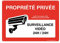 AUA SIGNALETIQUE - Panneau Signalétique en PVC Rigide et Compacte 1.5 mm. (280 x 200 mm, Propriété Privée Surveillance Vidéo)