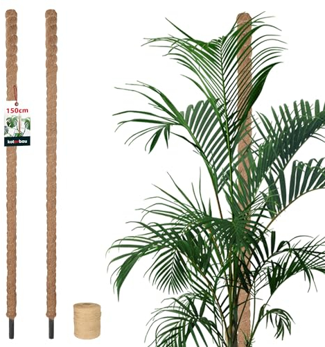 KOTARBAU® 2 x Tuteur Plante Interieur | Tuteur Coco | Tuteur Plante Grimpante, Tuteurs pour Plantes | Tuteur Monstera Deliciosa ⌀ 3,2 x 150 cm en Fibres de Coco 2 Pieces + Ficelle Offerte