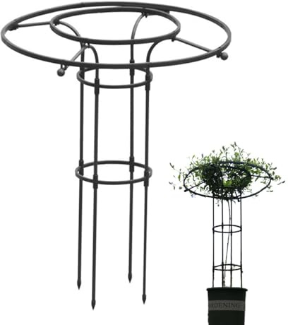 Vertikaler Metallschirm Rankgitter Turm, Regenschirm Kletterpflanzenrahmen, Garten Klettern Spalier, Reben Turm für Garten