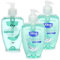 3x aktive Hygiene Handseife im Pump-Spender - erfrischende & sensitive Hygiene-Seife für die Hände - Hand-Waschlotion - 300ml je Spender (03 Stück)