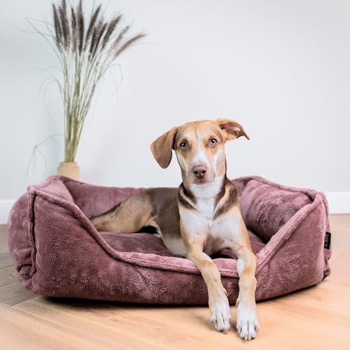 4L Textil IRIS Orthopädisches Hundebett Premium-LINE Hundekorb orthopädisch Kuscheliges Hundebett mit Bezug Memory Foam(100x80 cm, Rosa)