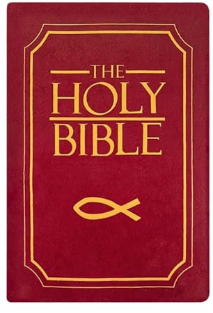 LEADSDGE Holy Bibles Plüschkissen, religiöse Heimdekoration, abnehmbare Bezüge, spiritueller Begleiter, Geschenk, Kissen für Gruppen, Bibelplüschkissen